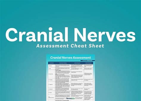 Cranial Nerves Chart Assessment Cheat Sheet Nurseslabs Dosage Calculations Cranial