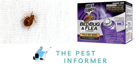 1 Best Fogger For Bed Bugs Best Bed Bug Bombs Tested By A Pest