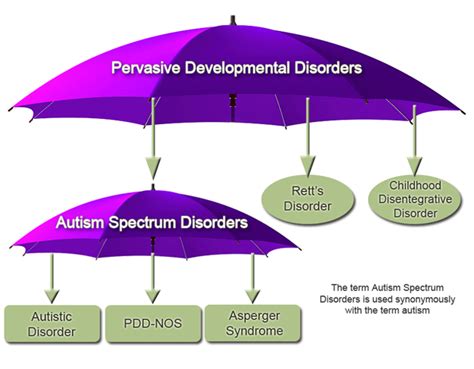 Autism spectrum disorder (asd) is a developmental disorder that affects communication and behavior. The journey from PDD to ASD: What's with all these letters ...