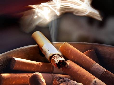 Dejar De Fumar Cinco Curiosidades Que No Sabías Sobre El Cigarro