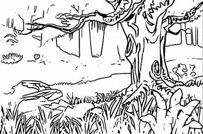 Coloring Landscape Forest Pages Mountain Adults Printable