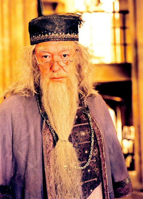 Portrait Of Albus Dumbledore — Harry Potter Fan Zone