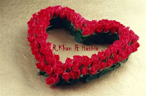 Gambar bunga untuk pp wa. Bunga Mawar Merah - Red Rose Photos - Alam Mentari