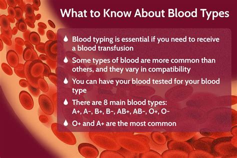 Blood Typing Purpose Procedure And Risks