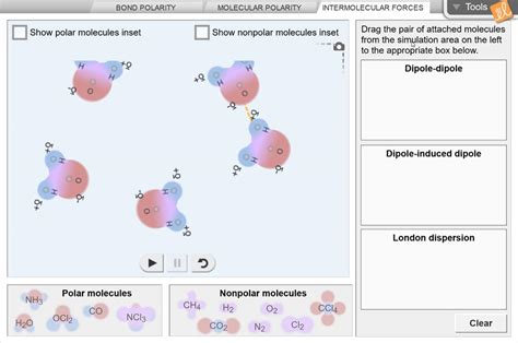 I have students do an ionic compound quick review to help reinforce what we have already learned about ionic compounds. Exploring Ionic And Covalent Bonds Gizmo / Https Www ...