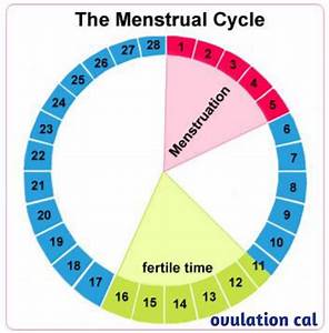Safe Period How To Time To Prevent Pregnancy Relationship Seeds