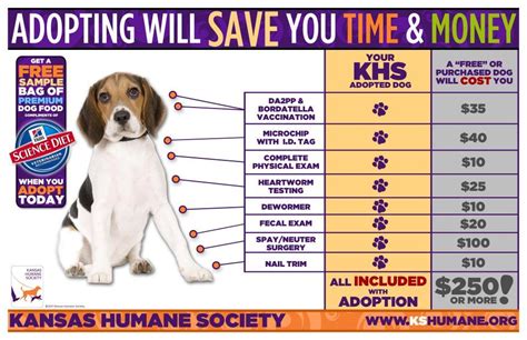 How Much Do Shelter Dogs Cost Loqcal