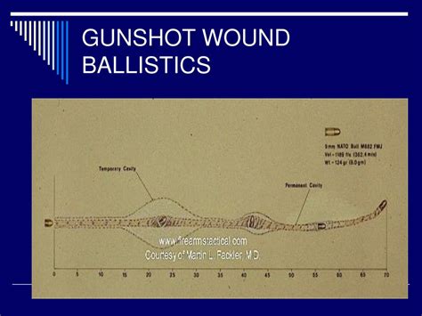 Ppt Gunshot Wounds Powerpoint Presentation Free Download Id6011459