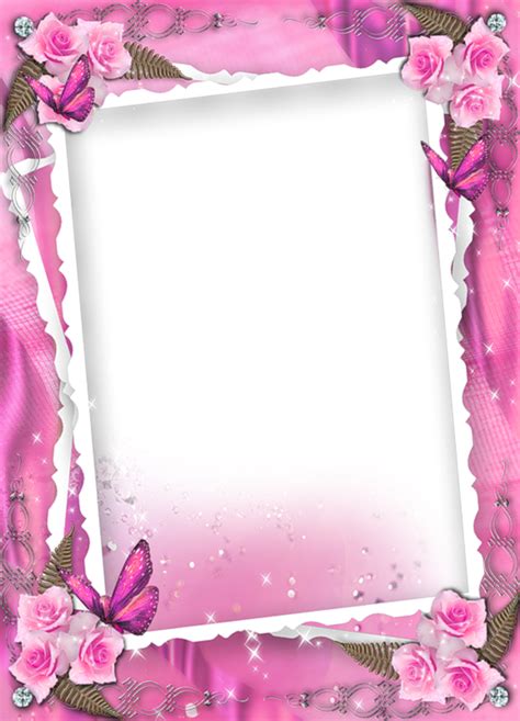 Beautiful Pink Transparent Frame With Roses Flower Frame Boarders