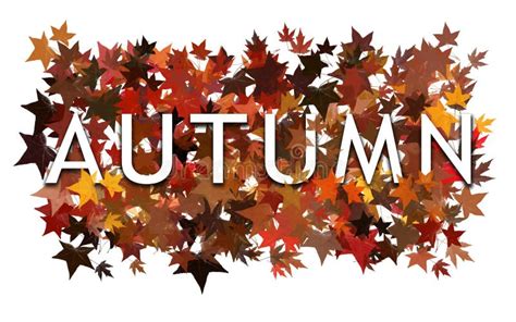 Fall Word Text Written In Real Leaf Effect Seasonal Isolated On