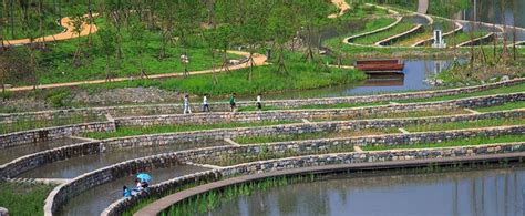 Minghu Wetland Park By Turenscape 03 Landscape Architecture