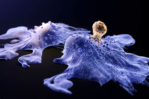 A Cutting-Edge Cancer Treatment May Cause Cancer. The FDA Is