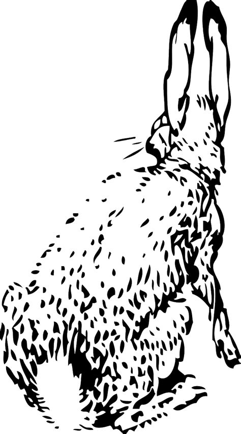 50 Free Rabbit Ears And Rabbit Vectors Pixabay