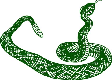 Dark Green Snake Clip Art At Vector Clip Art Online