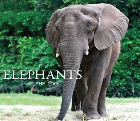 In Elephants at the Zoo, learn about elephant characteristics, as well
