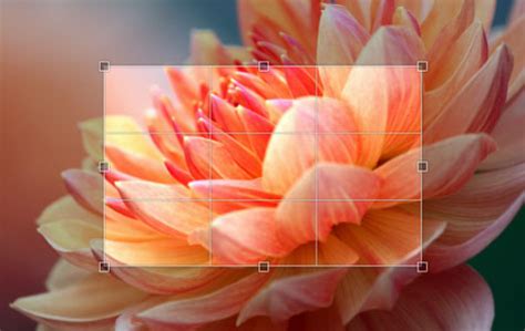 Ethercalc, an open source online spreadsheet. Take A Picture Online | Enjoy Web Cam Effects In Your Photos
