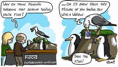 Seagull Funny Jokes Comics Zoo Comic Cartoons