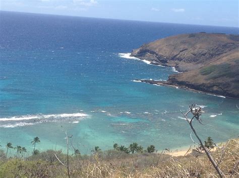 Kids under 12 are free. Hanauma Bay Beach Hike (With images) | Favorite places