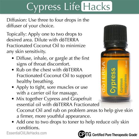 Cypress essential oil is extracted from twigs, stems and needles of the tree. Cypress Life Hacks—diffuse, inhale, or gargle at the first ...