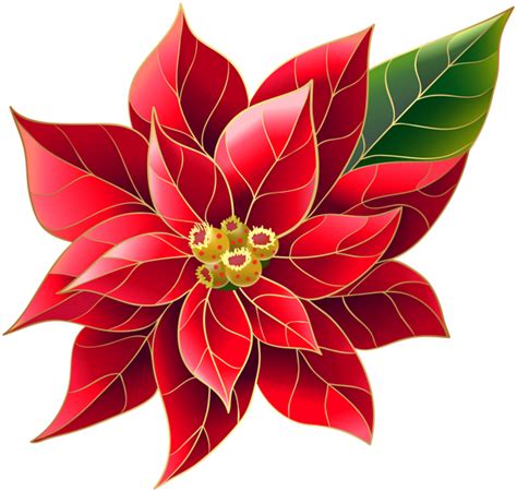 Clip Art Portable Network Graphics Image Openclipart Christmas Day Poinsettia Transparency And