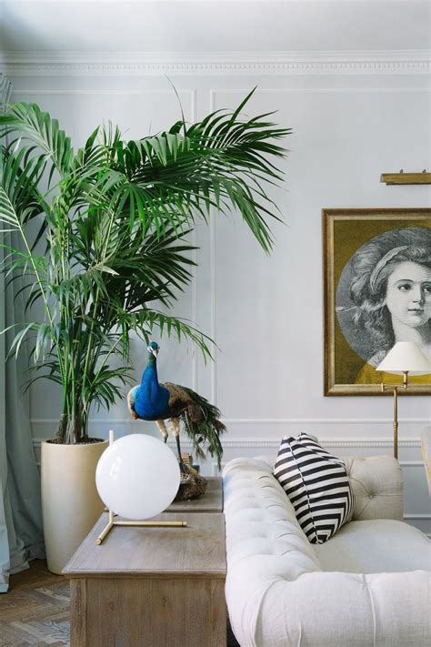 Wohnzimmer innenarchitektur sofa kostenloses foto auf pixabay. PALM TREE | Innenarchitektur wohnzimmer, Familienzimmer ...