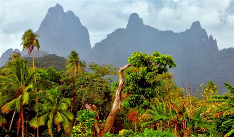 We did not find results for: French Polynesia ( Polynésie française ). A voyage to ...