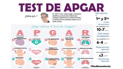 Test De Apgar Valoracion En El Apgar