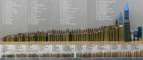Rifle Caliber Comparison Chart