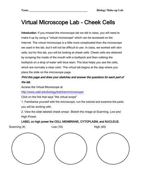 Https://wstravely.com/worksheet/virtual Microscope Lab Worksheet Answer Key