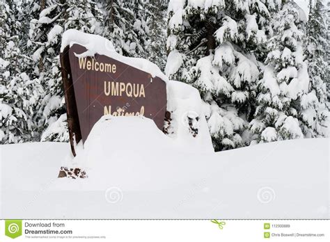 Winter Woods Umpqua National Forest Welcome Sign Stock Image Image Of