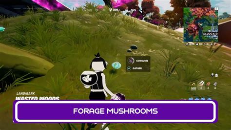 Forage Mushrooms Madcap Quest Guide Fortnite Chapter 2 Season 8