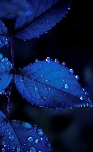 Pin by Nova Cayt on Blauw - Blue | Blue wallpaper iphone, Blue
