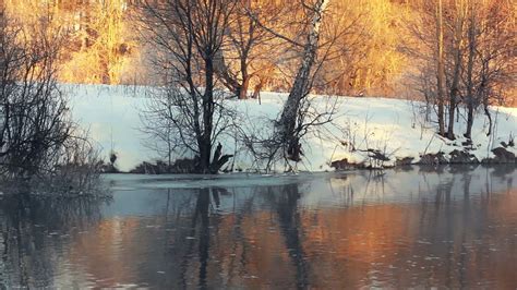 Forest River In Winter Winter River River Bank In Winter Forest Mist