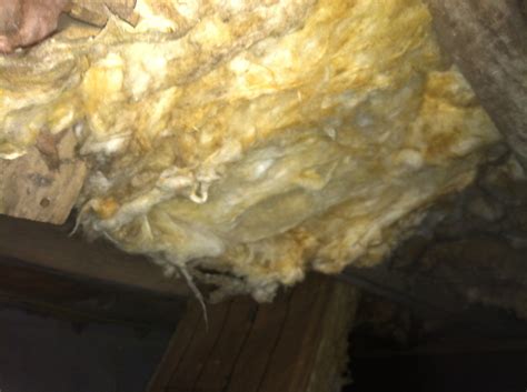 Can anyone please offer any advice/solutions on how to find the source i think the problem lies with humidity and condensation this can result in the property smelling musty and a mildew smell,solution is plenty of. Please help me determine if this is mold (townhome, smells ...