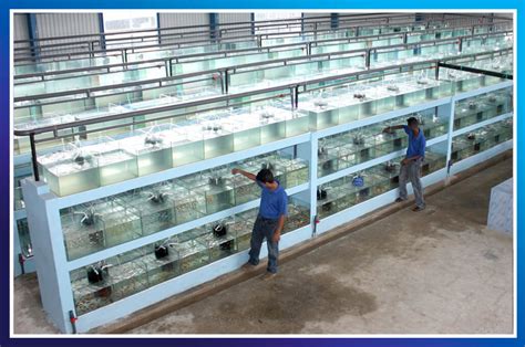 Facilities Miracle Pets International Sri Lanka