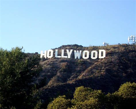 48 Hollywood Hills Wallpaper On Wallpapersafari
