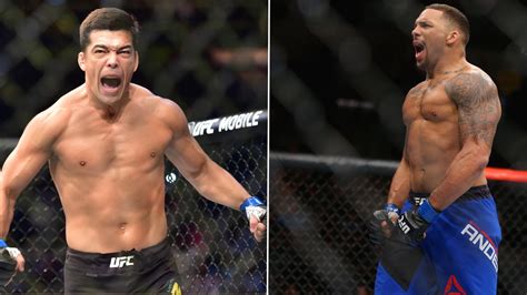 Tactical Guide To Machida Vs Anders Vice