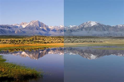 Film vs Digital - A Photo Comparison - TheDarkroom | Film vs digital