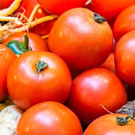 Tomato Ultra Sweet Lycopersicon Esculentum My Garden Insider