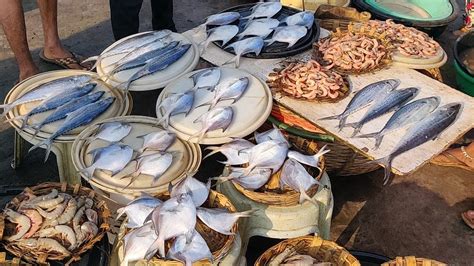 For delivery, please order through express waiters. Malvan Fish Market & Fish Auction : Local Fish market in ...