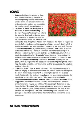 Poppies By Jane Weir Gcse English Lit Revision Guide Teaching Resources
