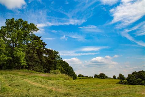 Get the perfect landscape picture idea for your project or wallpaper. Summer Landscape Free Stock Photo - Public Domain Pictures