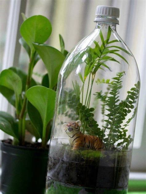 Diy Build A Bottle Ecosystem Science Project Step By Step Building