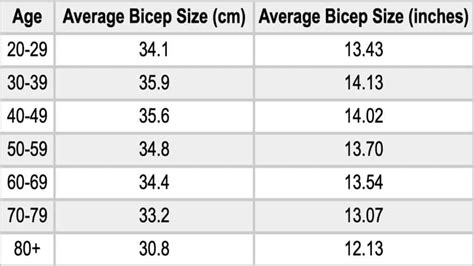 Average Bicep Size And Circumference Males Females Teens