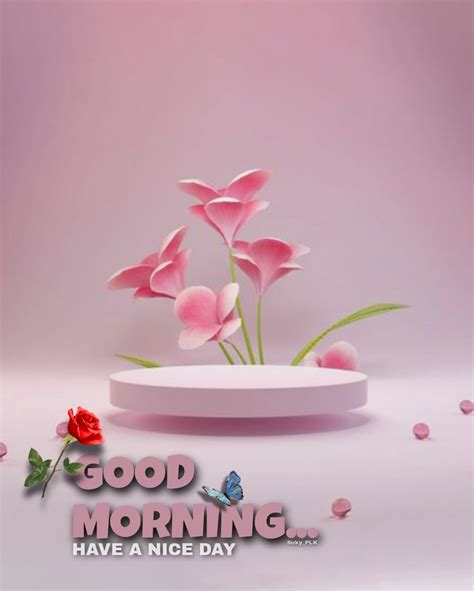 Full 4k Collection Free Download Of 999 Stunning Good Morning Flower
