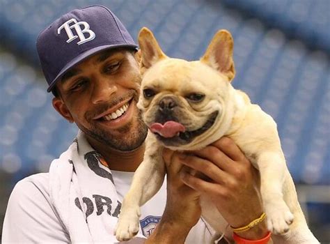 French bulldog pet insurance news. Meet David Price's closest companion: Astro, the French ...