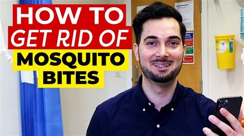 Mosquito Bites | How To Get Rid Of Mosquito Bites 