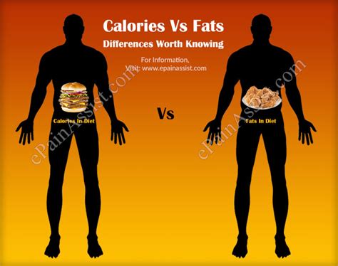 Calories Vs Fats Differences Worth Knowing