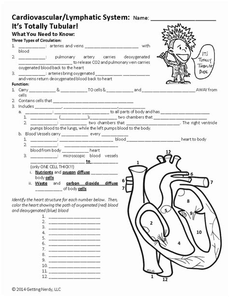 Another system, called the circulatory system, transports materials from the digestive and the respiratory systems to the cells. 50 Circulatory System Worksheet Pdf | Chessmuseum Template ...