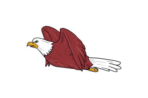 Bald Eagle Flying Cartoon ~ Illustrations ~ Creative Market